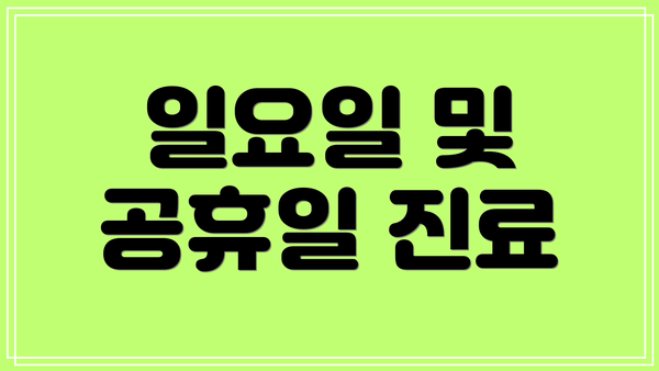 일요일 및 공휴일 진료