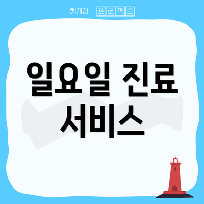 일요일 진료 서비스