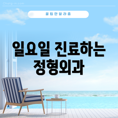 일요일 진료하는 정형외과