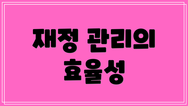 재정 관리의 효율성