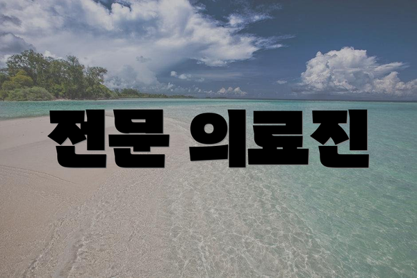 전문 의료진