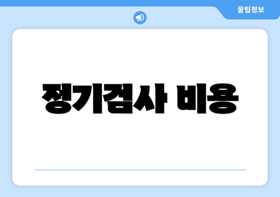 정기검사 비용