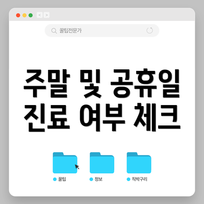 주말 및 공휴일 진료 여부 체크