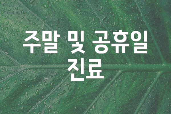 주말 및 공휴일 진료