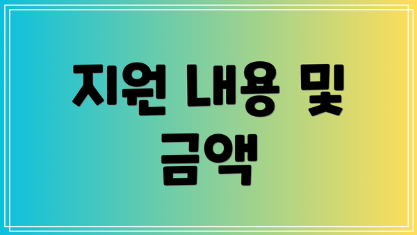 지원 내용 및 금액