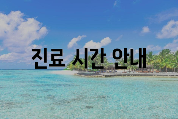 진료 시간 안내