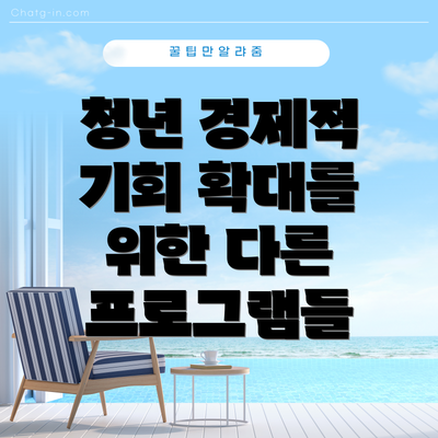 청년 경제적 기회 확대를 위한 다른 프로그램들