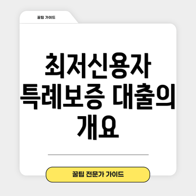 최저신용자 특례보증 대출의 개요