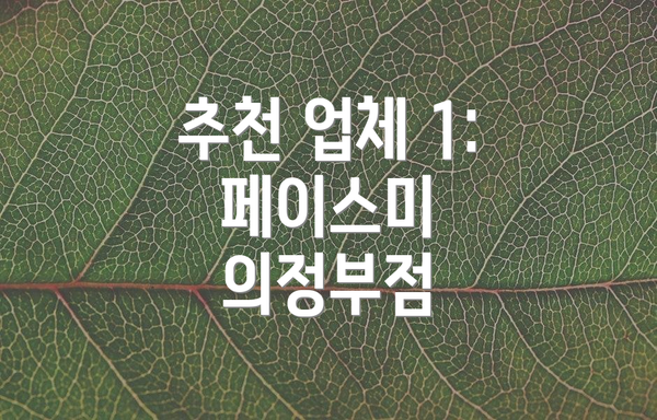 추천 업체 1: 페이스미 의정부점