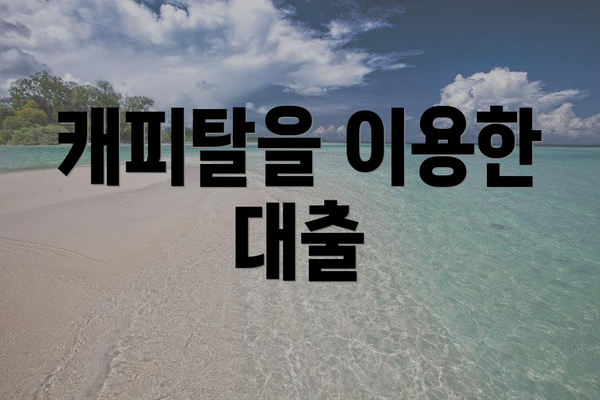 캐피탈을 이용한 대출