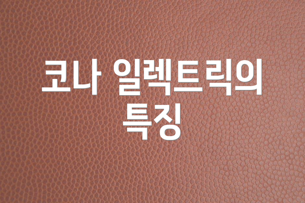 코나 일렉트릭의 특징