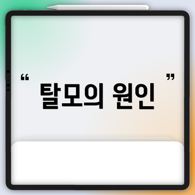 탈모의 원인