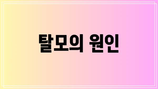 탈모의 원인