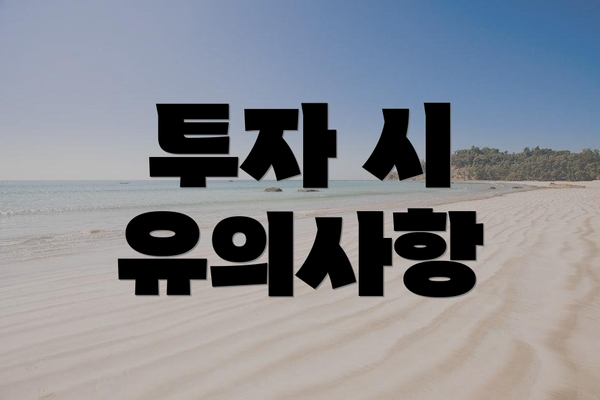 투자 시 유의사항