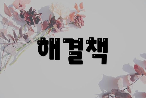 해결책