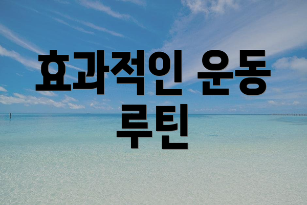 효과적인 운동 루틴