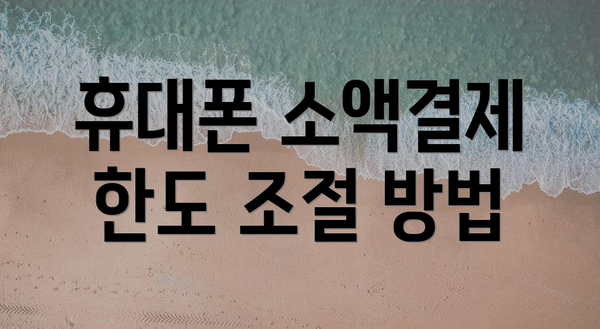 휴대폰 소액결제 한도 조절 방법