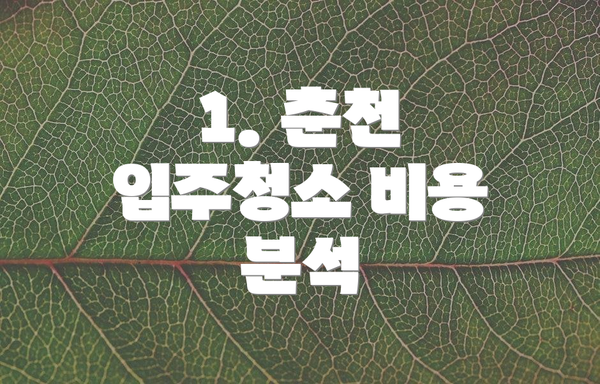 1. 춘천 입주청소 비용 분석