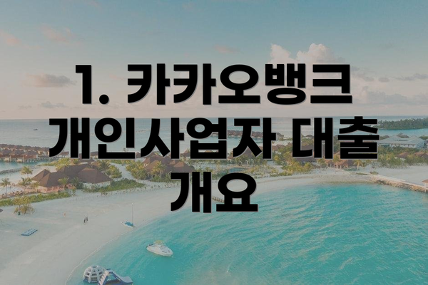 1. 카카오뱅크 개인사업자 대출 개요
