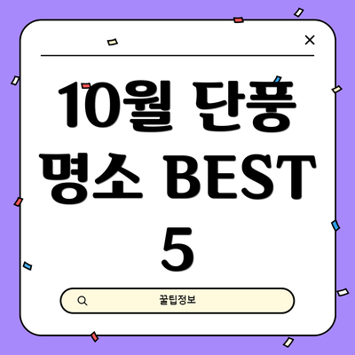 10월 단풍 명소 BEST 5