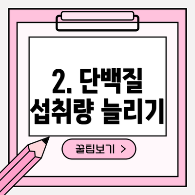 2. 단백질 섭취량 늘리기