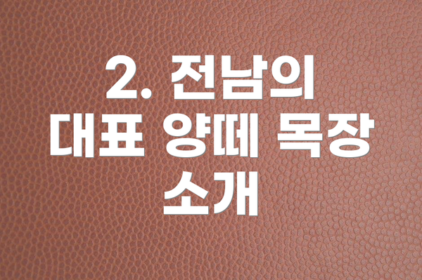 2. 전남의 대표 양떼 목장 소개