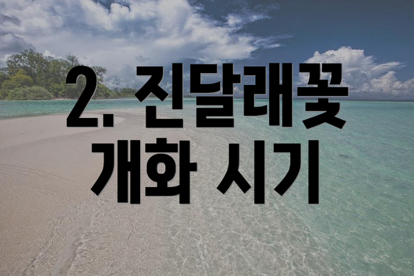 2. 진달래꽃 개화 시기