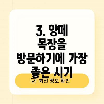 3. 양떼 목장을 방문하기에 가장 좋은 시기