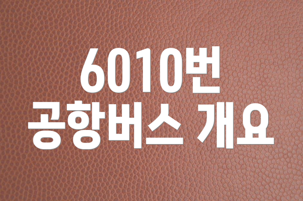 6010번 공항버스 개요