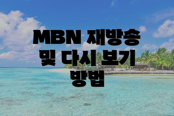 MBN 재방송 및 다시 보기 방법