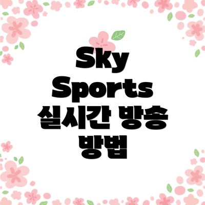 Sky Sports 실시간 방송 방법