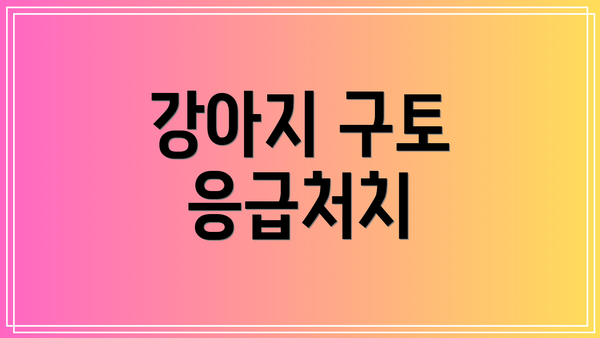 강아지 구토 응급처치