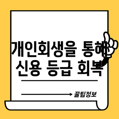 개인회생을 통해 신용 등급 회복