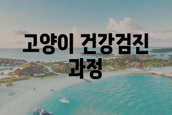 고양이 건강검진 과정