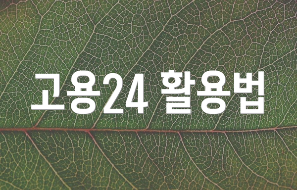 고용24 활용법