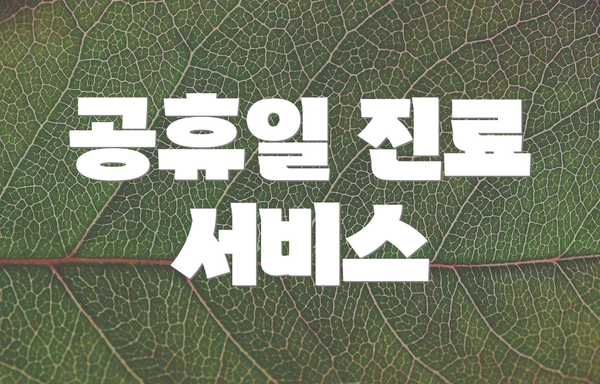 공휴일 진료 서비스