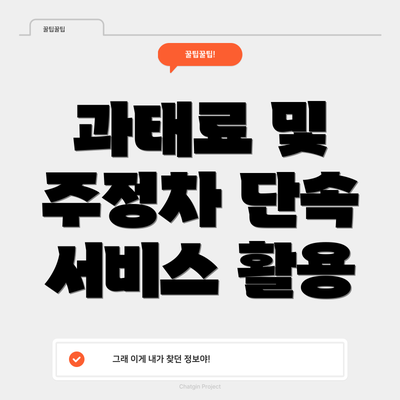 과태료 및 주정차 단속 서비스 활용