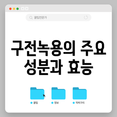 구전녹용의 주요 성분과 효능