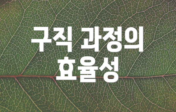 구직 과정의 효율성