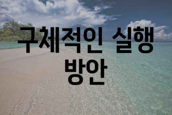 구체적인 실행 방안