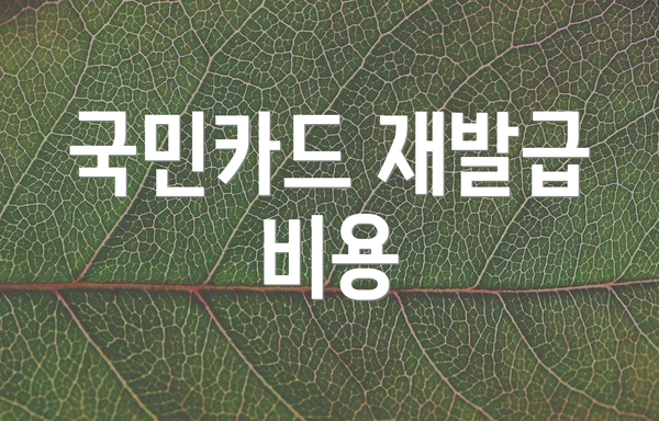 국민카드 재발급 비용