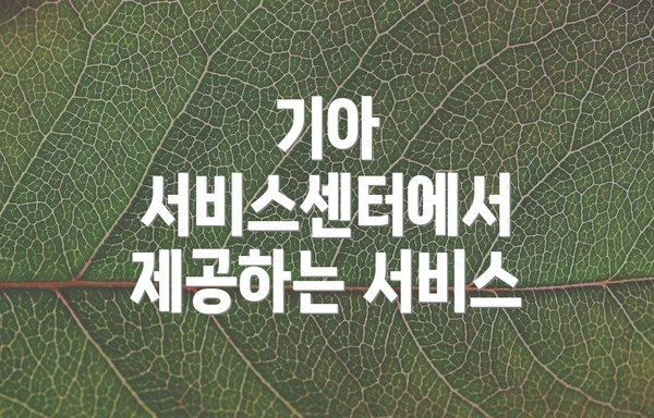 기아 서비스센터에서 제공하는 서비스