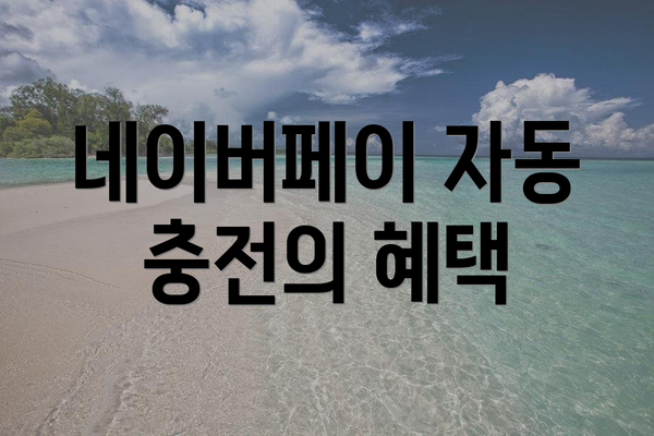 네이버페이 자동 충전의 혜택