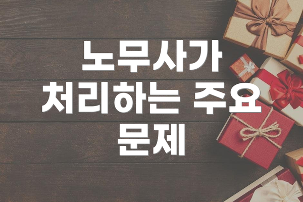 노무사가 처리하는 주요 문제