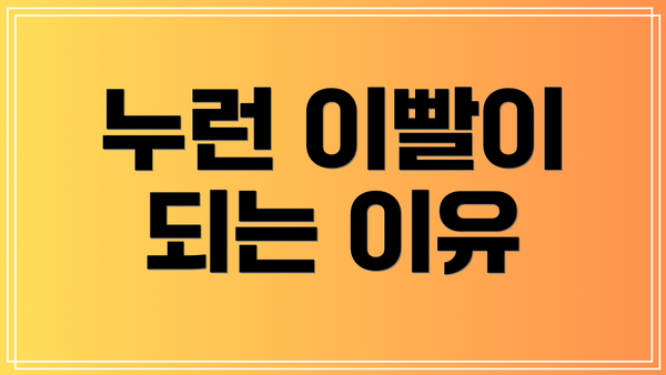 누런 이빨이 되는 이유