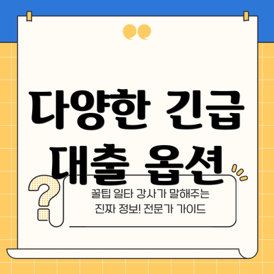 다양한 긴급 대출 옵션