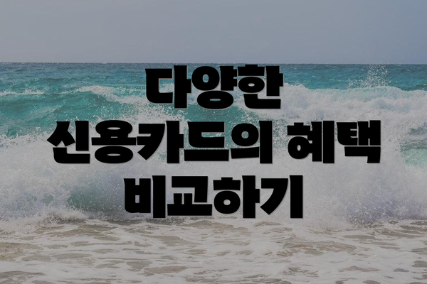 다양한 신용카드의 혜택 비교하기
