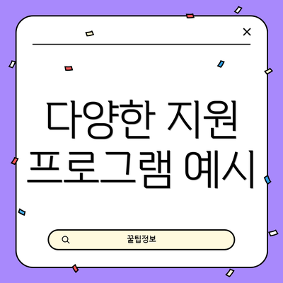 다양한 지원 프로그램 예시