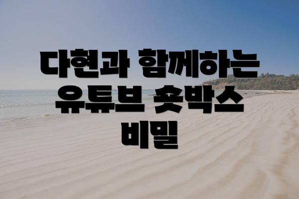 다현과 함께하는 유튜브 숏박스 비밀