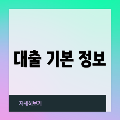 대출 기본 정보
